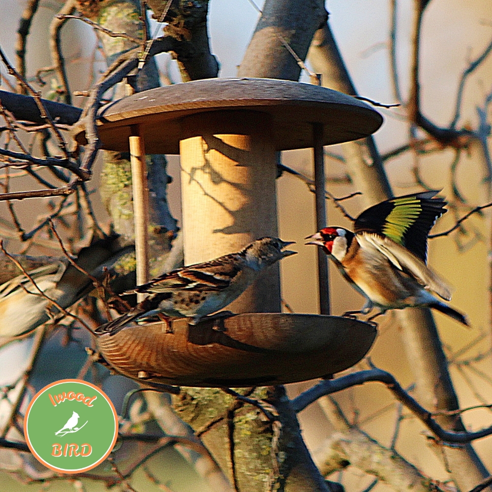 Mangeoires en bois IWoodBird Atelier NG Oiseaux jardin